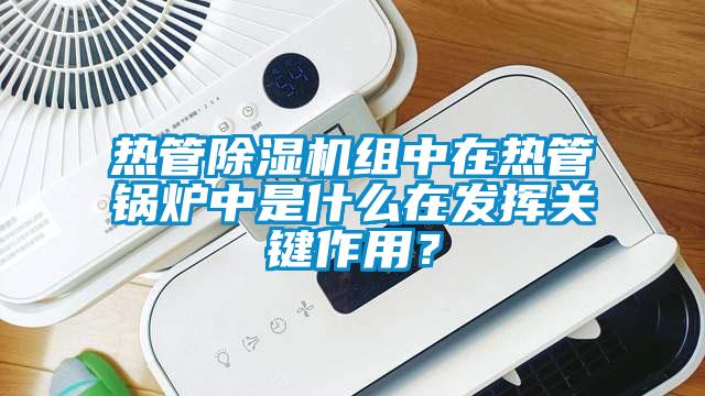 热管91抖音免费看片组中在热管锅炉中是什么在发挥关键作用？