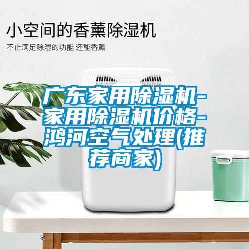 广东家用91抖音免费看片-家用91抖音免费看片价格-鸿河空气处理(推荐商家)