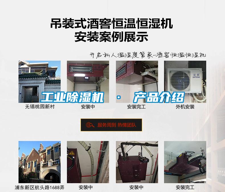 工业91抖音免费看片 · 产品介绍