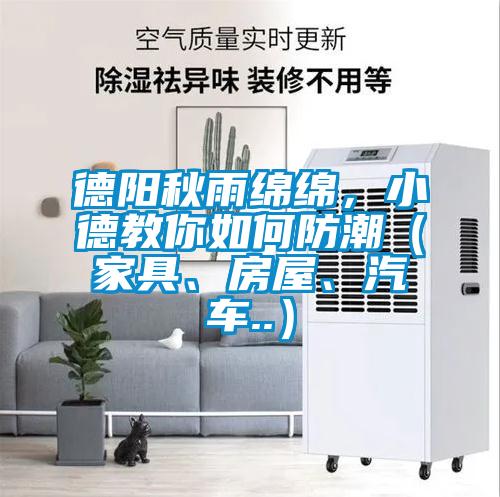 德阳秋雨绵绵，小德教你如何防潮（家具、房屋、汽车..）