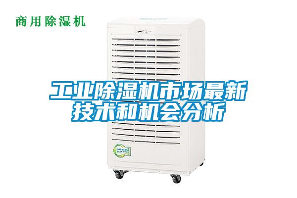 工业91抖音免费看片市场最新技术和机会分析