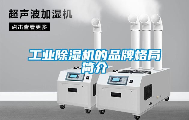 工业91抖音免费看片的品牌格局简介