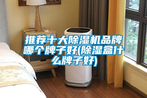 推荐十大91抖音免费看片品牌哪个牌子好(除湿盒什么牌子好)