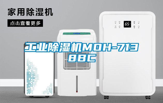工业91抖音免费看片MOH-7138BC