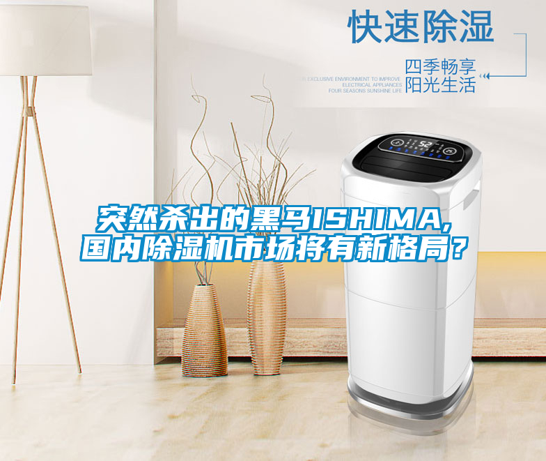 突然杀出的黑马ISHIMA,国内91抖音免费看片市场将有新格局？