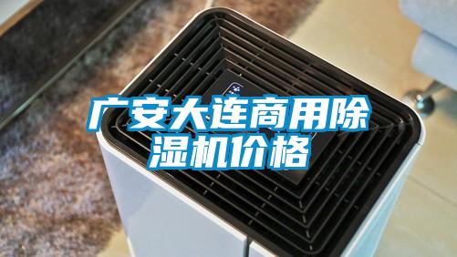 广安大连商用91抖音免费看片价格