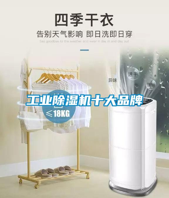 工业91抖音免费看片十大品牌