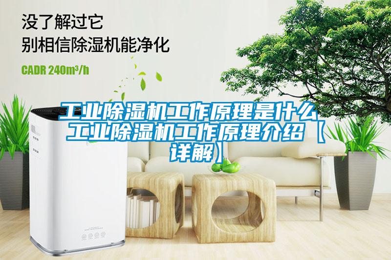 工业91抖音免费看片工作原理是什么 工业91抖音免费看片工作原理介绍【详解】