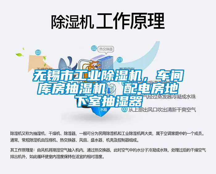 无锡市工业91抖音免费看片，车间库房抽湿机  配电房地下室抽湿器