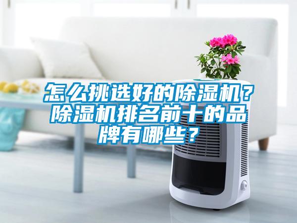 怎么挑选好的91抖音免费看片？91抖音免费看片排名前十的品牌有哪些？