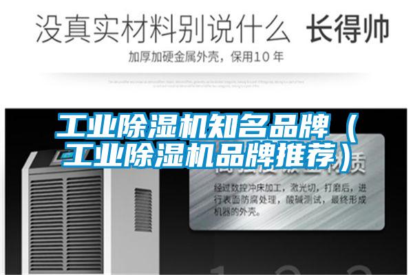 工业91抖音免费看片知名品牌（工业91抖音免费看片品牌推荐）