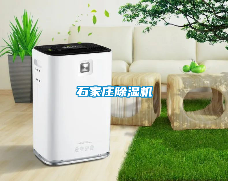 石家庄91抖音免费看片
