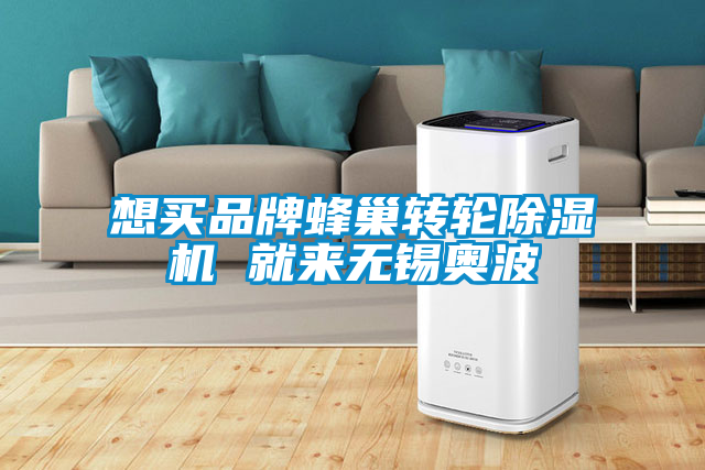 想买品牌蜂巢转轮91抖音免费看片 就来无锡奥波
