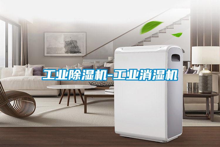 工业91抖音免费看片-工业消湿机