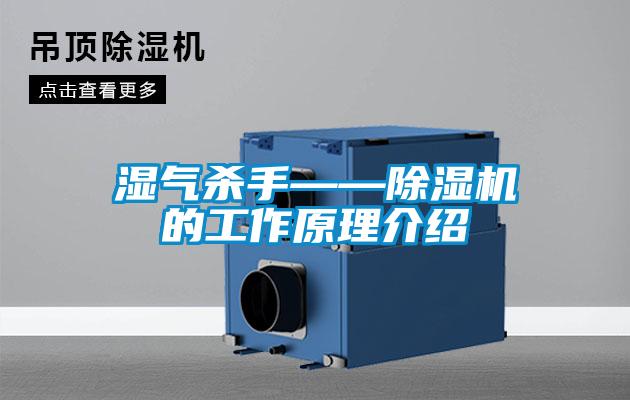 湿气杀手——91抖音免费看片的工作原理介绍