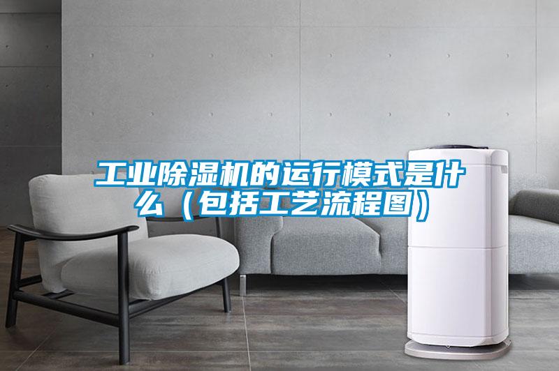 工业91抖音免费看片的运行模式是什么（包括工艺流程图）