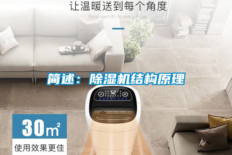 简述：91抖音免费看片结构原理