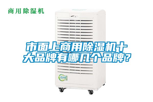 市面上商用91抖音免费看片十大品牌有哪几个品牌？