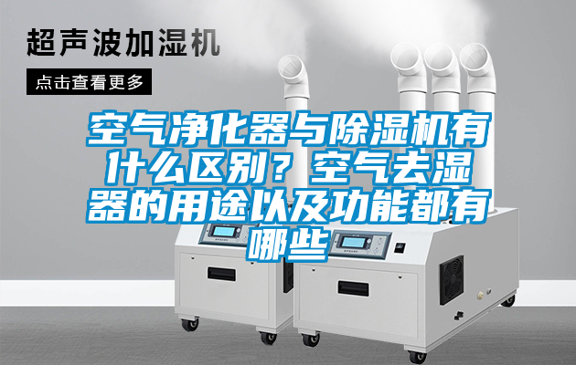 空气净化器与91抖音免费看片有什么区别？空气去湿器的用途以及功能都有哪些
