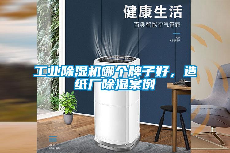 工业91抖音免费看片哪个牌子好，造纸厂除湿案例