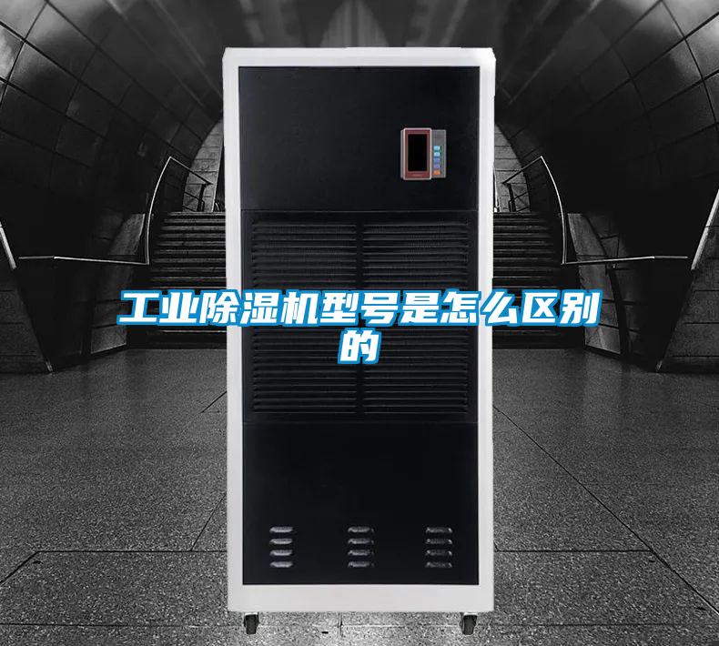 工业91抖音免费看片型号是怎么区别的