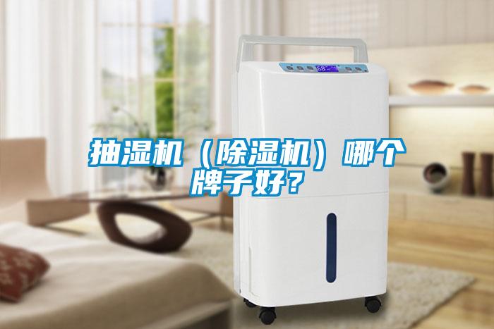 抽湿机（91抖音免费看片）哪个牌子好？