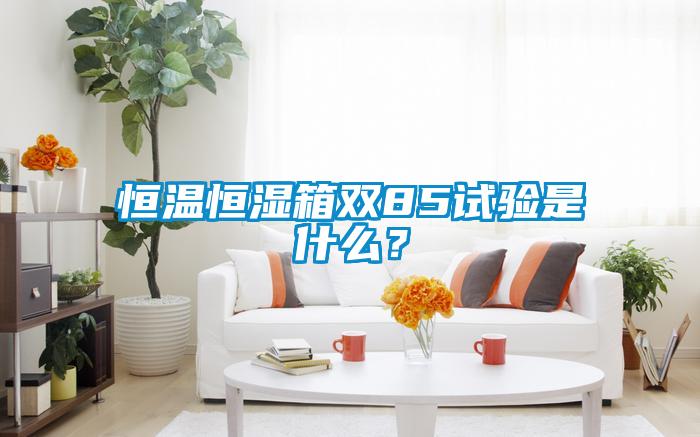 恒温恒湿箱双85试验是什么？