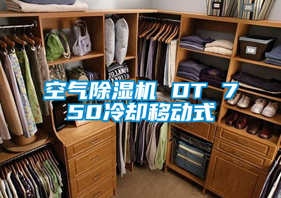 空气91抖音免费看片 DT 750冷却移动式