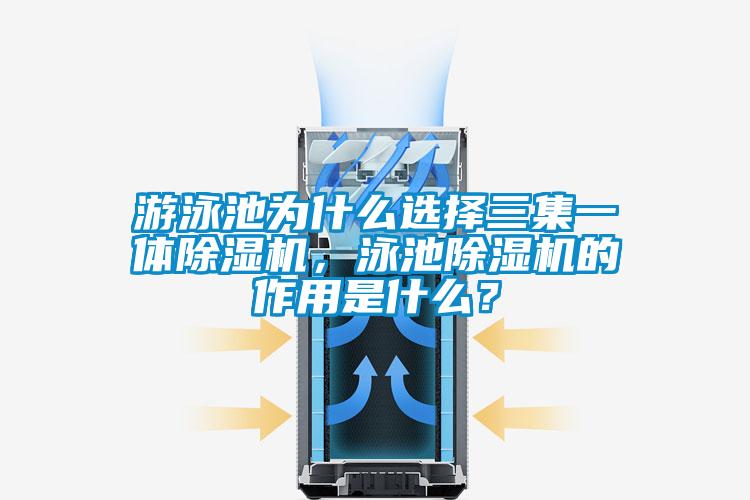 游泳池为什么选择三集一体91抖音免费看片，泳池91抖音免费看片的作用是什么？