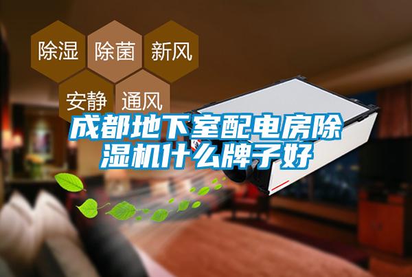 成都地下室配电房91抖音免费看片什么牌子好