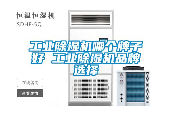 工业91抖音免费看片哪个牌子好 工业91抖音免费看片品牌选择
