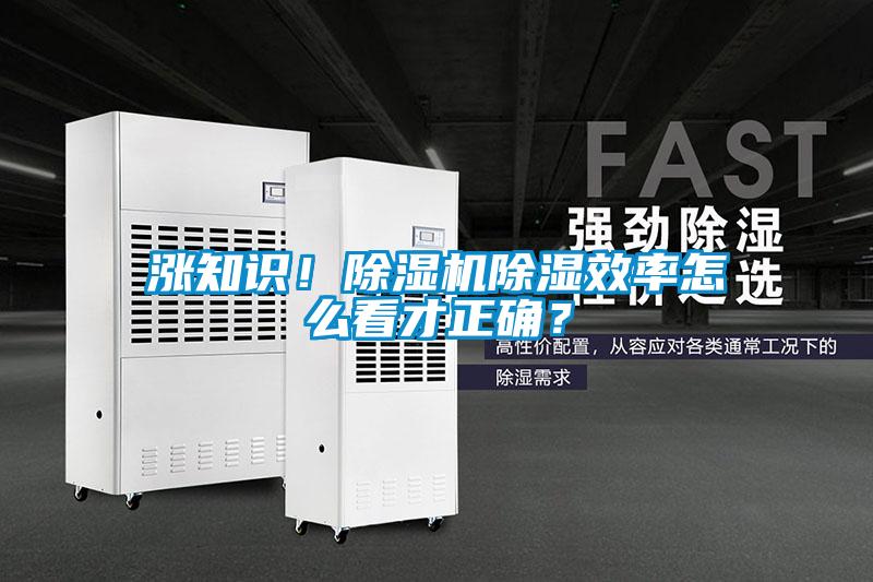 涨知识！91抖音免费看片除湿效率怎么看才正确？