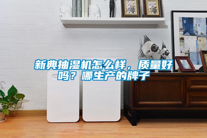 新典抽湿机怎么样，质量好吗？哪生产的牌子