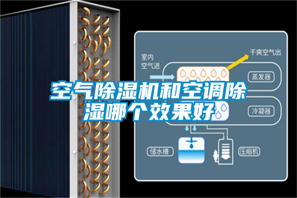 空气91抖音免费看片和空调除湿哪个效果好