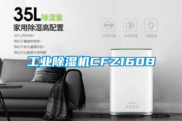 工业91抖音免费看片CFZ160B
