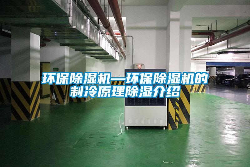 环保91抖音免费看片—环保91抖音免费看片的制冷原理除湿介绍