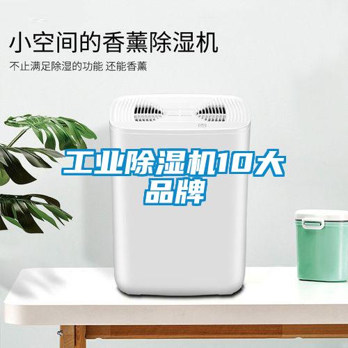 工业91抖音免费看片10大品牌