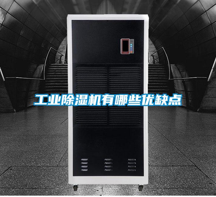 工业91抖音免费看片有哪些优缺点