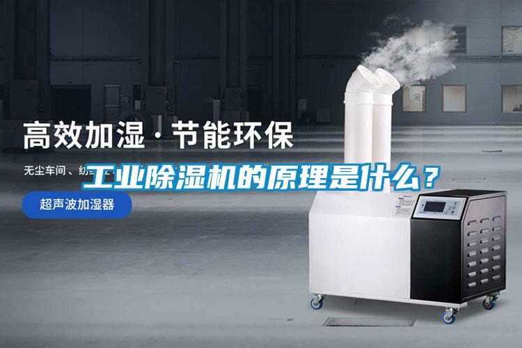 工业91抖音免费看片的原理是什么？