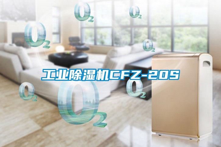 工业91抖音免费看片CFZ-20S