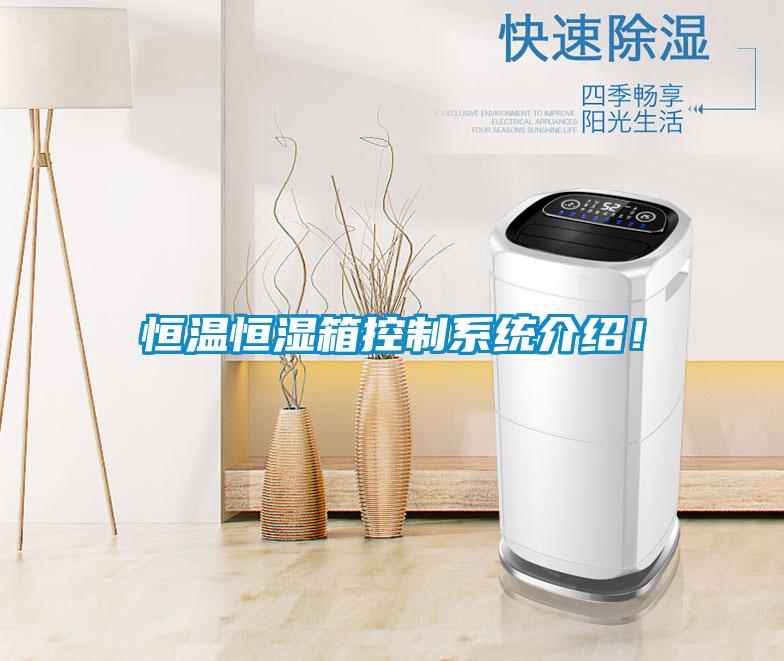 恒温恒湿箱控制系统介绍！