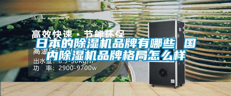 日本的91抖音免费看片品牌有哪些 国内91抖音免费看片品牌格局怎么样