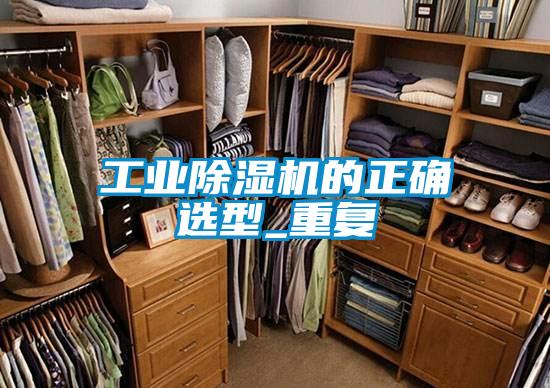 工业91抖音免费看片的正确选型_重复