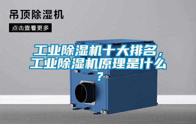 工业91抖音免费看片十大排名，工业91抖音免费看片原理是什么？