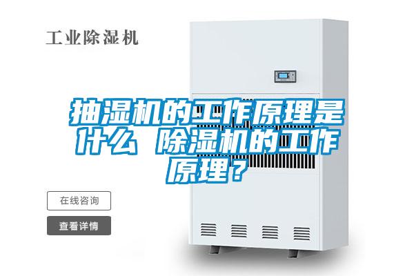 抽湿机的工作原理是什么 91抖音免费看片的工作原理？