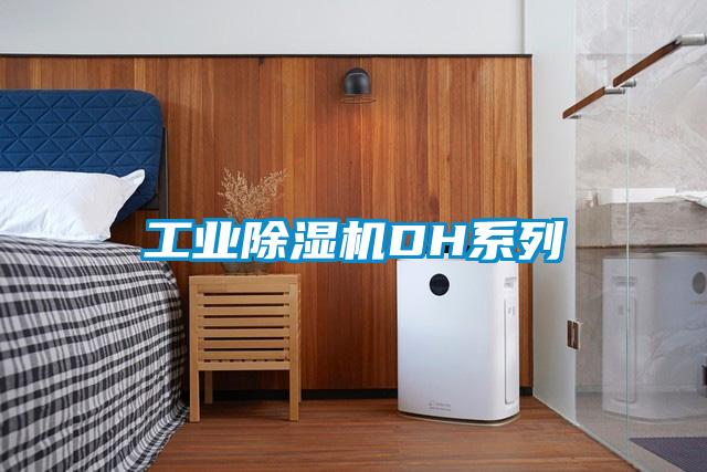 工业91抖音免费看片DH系列