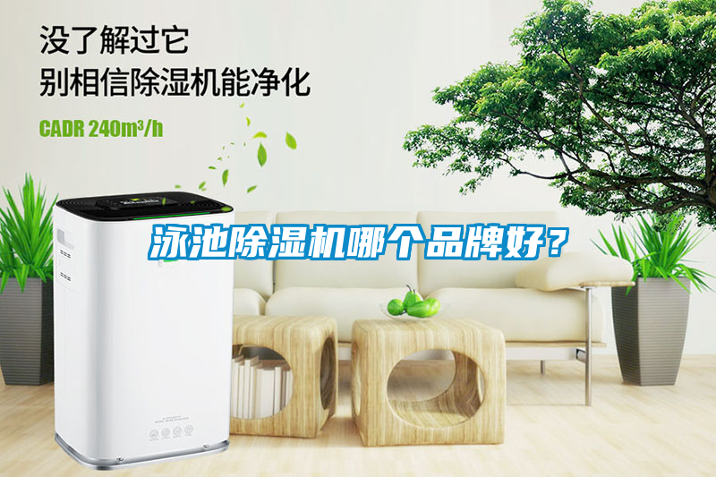 泳池91抖音免费看片哪个品牌好？