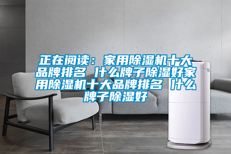 正在阅读：家用91抖音免费看片十大品牌排名 什么牌子除湿好家用91抖音免费看片十大品牌排名 什么牌子除湿好