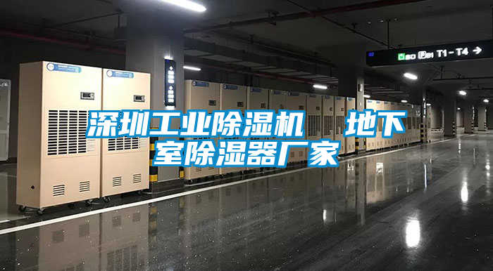 深圳工业91抖音免费看片  地下室除湿器厂家