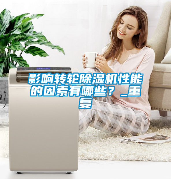 影响转轮91抖音免费看片性能的因素有哪些？_重复